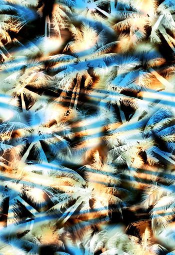 258233-热带花卉椰树水彩效果花朵植物组合