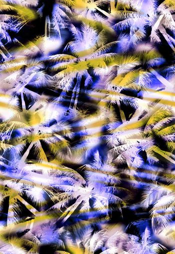 258235-热带花卉椰树水彩效果花朵植物组合