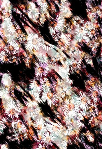 258238-水彩水墨效果雏菊小菊花花卉花朵组合