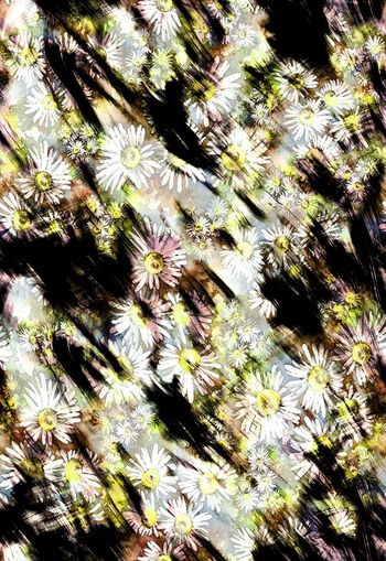 258239-水彩水墨效果雏菊小菊花花卉花朵组合