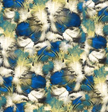 258442-抽象绚丽羽毛花