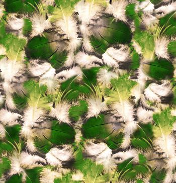 258443-抽象绚丽羽毛花