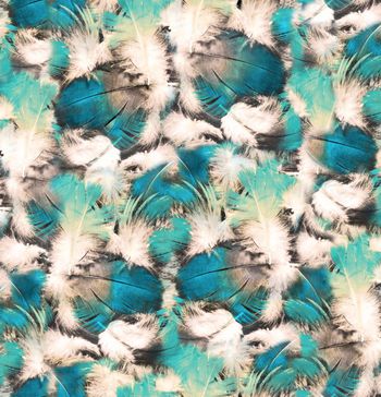 258444-抽象绚丽羽毛花