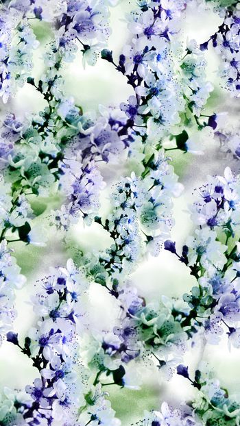 258447-清新桃花花卉花朵组合