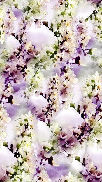 258448-清新桃花花卉花朵组合