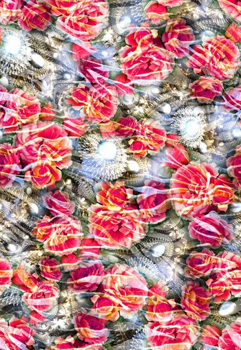 258574-花卉花朵宝石珠宝斑马纹动物纹组合