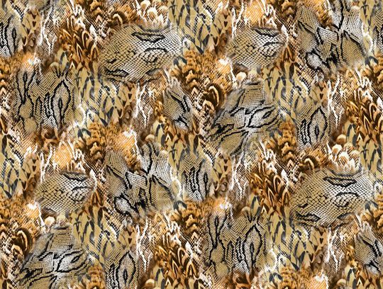 蛇纹印花华亿平台图片