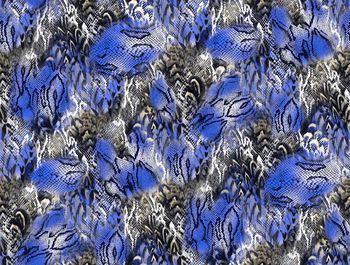 258584-蛇纹羽毛花