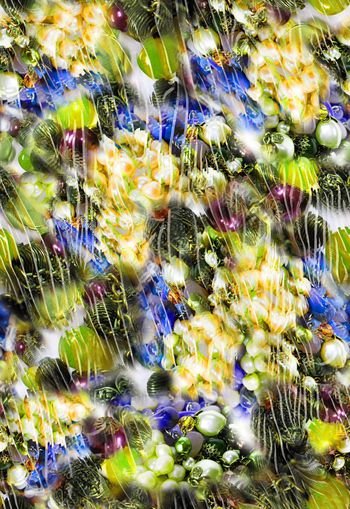 258587-珠宝宝石条纹动物纹组合