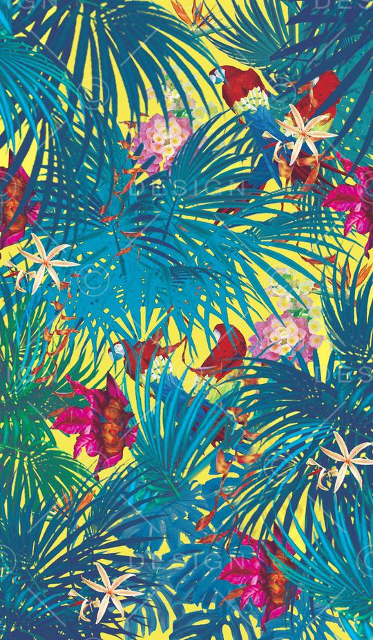 棕榈印花华亿平台图片