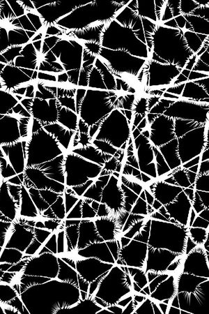 黑白印花华亿平台图片