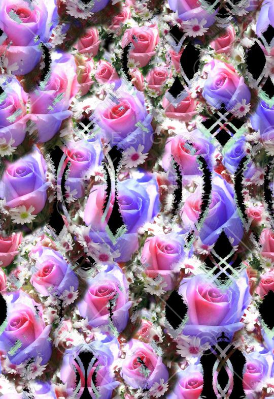 玫瑰印花华亿平台图片