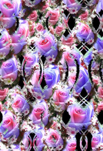 258754-多彩数码花卉花朵玫瑰小雏菊组合