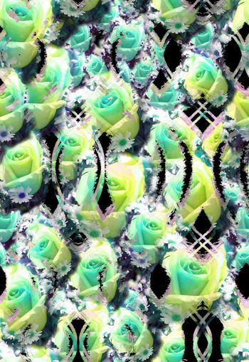 258755-多彩数码花卉花朵玫瑰小雏菊组合