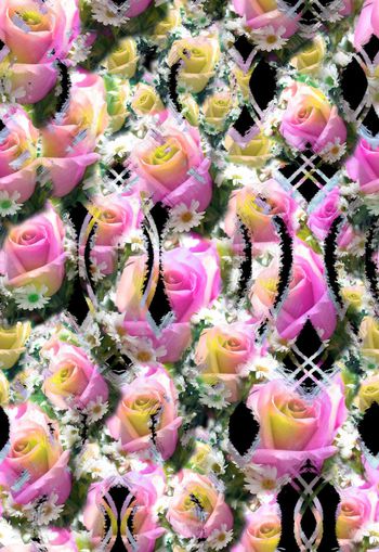 258756-多彩数码花卉花朵玫瑰小雏菊组合