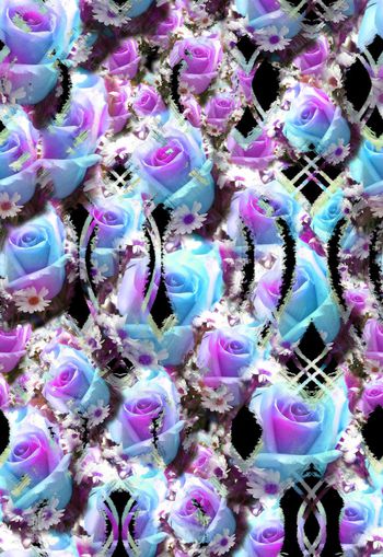 258757-多彩数码花卉花朵玫瑰小雏菊组合