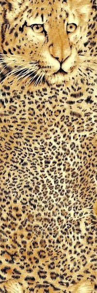 豹子印花华亿平台图片