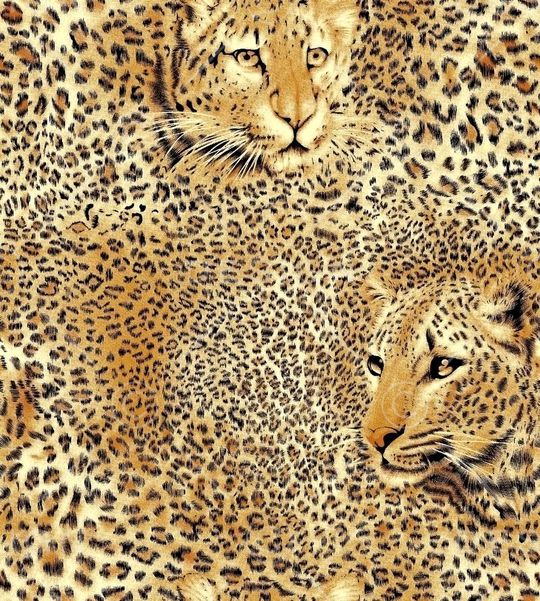 豹子印花华亿平台图片