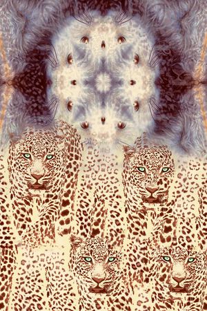 C-动物华亿平台/Animal印花华亿平台图片