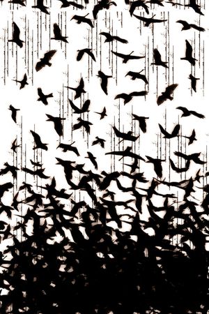 鸟印花华亿平台图片