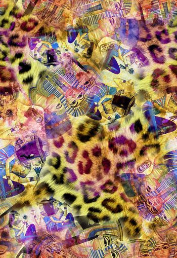 259052-部落民族风豹纹组合