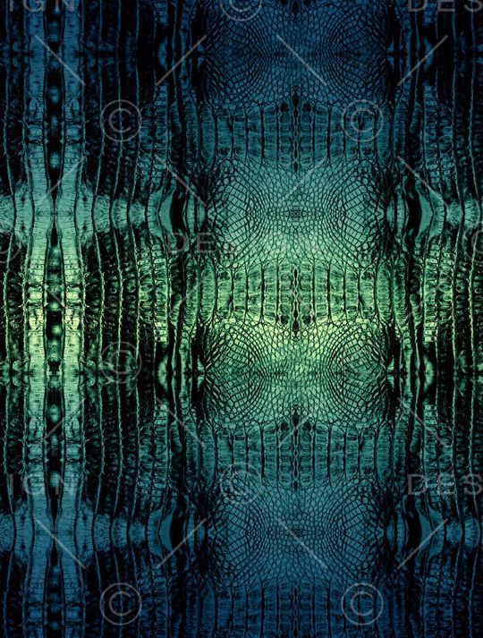 鳄鱼纹印花华亿平台图片