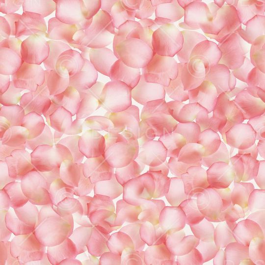 ♥红桃A〖花鸟天堂〗印花华亿平台图片