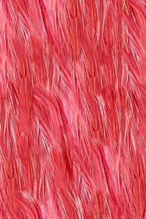 ♥红桃A〖豹纹纹理〗印花华亿平台图片