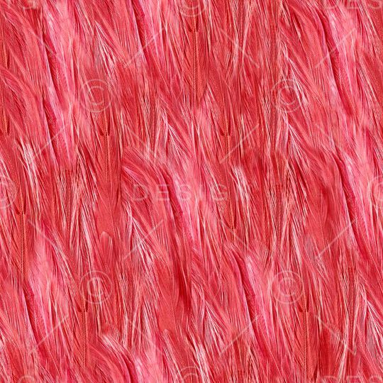 ♥红桃A〖豹纹纹理〗印花华亿平台图片