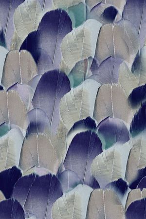 ♥红桃A〖豹纹纹理〗印花华亿平台图片