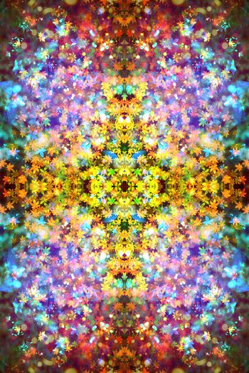 259744-多彩密集枫叶