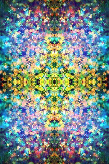 259745-多彩密集枫叶