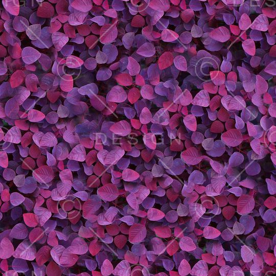 ♥红桃A〖花鸟天堂〗印花华亿平台图片