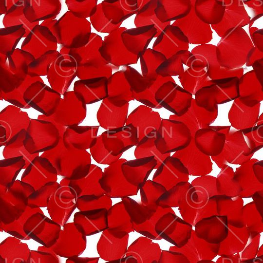 ♥红桃A〖花鸟天堂〗印花华亿平台图片