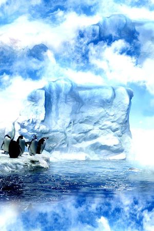 企鹅印花华亿平台图片