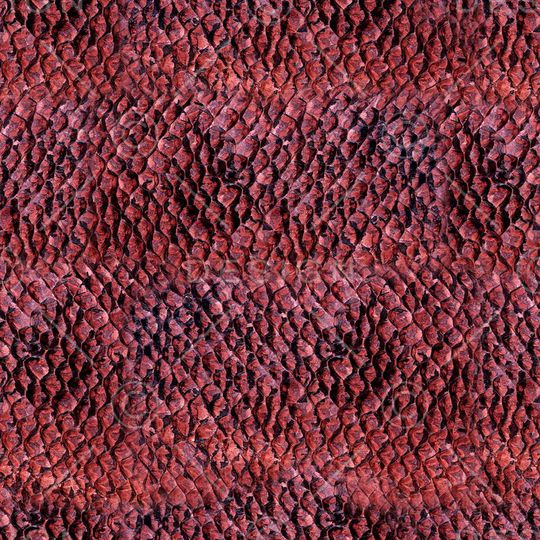 ♥红桃A〖潮流男装〗印花华亿平台图片