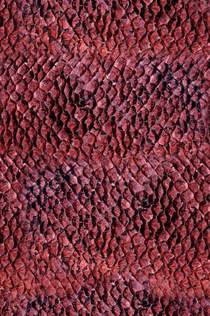 ♥红桃A〖潮流男装〗印花华亿平台图片