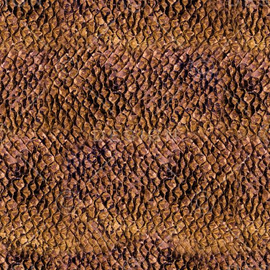 ♥红桃A〖潮流男装〗印花华亿平台图片