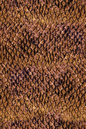 ♥红桃A〖潮流男装〗印花华亿平台图片