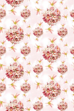 茉莉花印花华亿平台图片