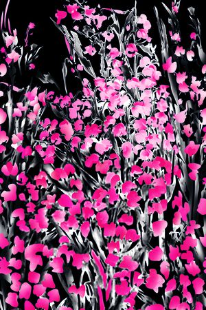 印花华亿平台图片