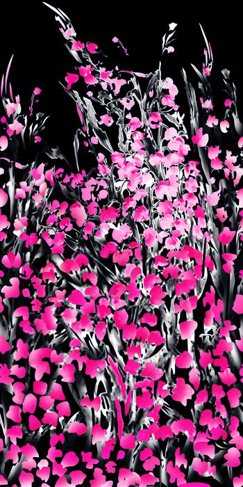 260017-中国风水墨花