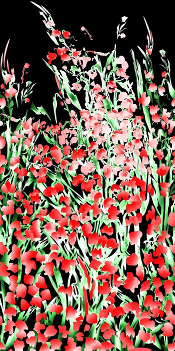 260019-中国风水墨花