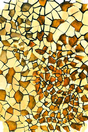 蛇皮印花华亿平台图片