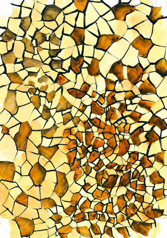 蛇皮印花华亿平台图片