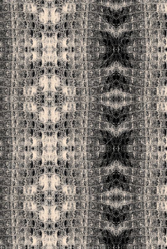 蛇皮印花华亿平台图片