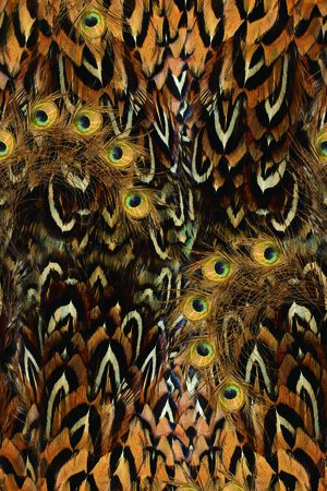 动物纹印花华亿平台图片