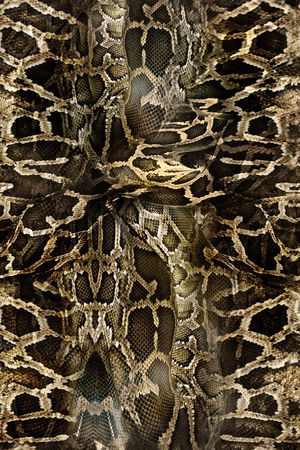 蟒纹印花华亿平台图片