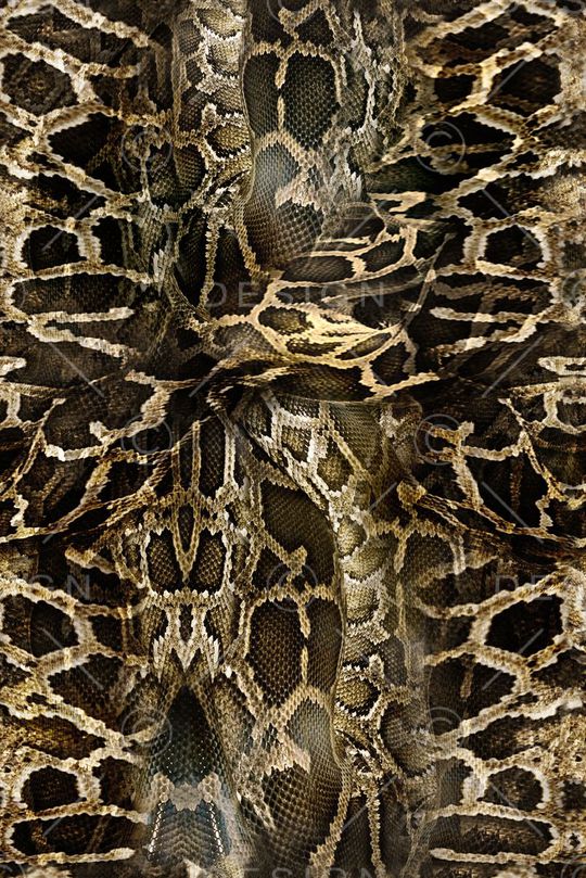 蟒纹印花华亿平台图片