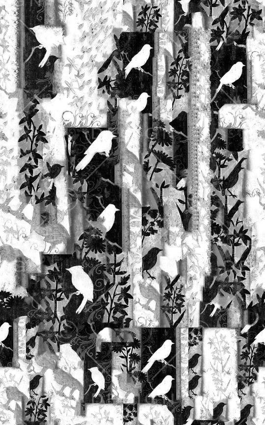 C-动物华亿平台/Animal印花华亿平台图片